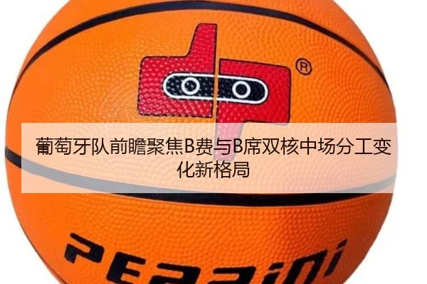 葡萄牙队前瞻聚焦B费与B席双核中场分工变化新格局
